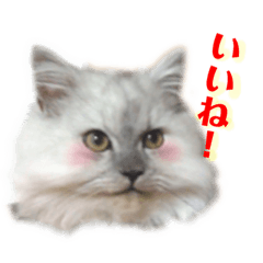 [LINEスタンプ] ムギィさん