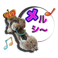 [LINEスタンプ] 僕は、プリンスりゅう