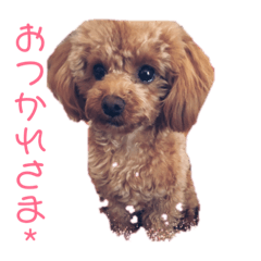 [LINEスタンプ] mayさまスタンプ2 