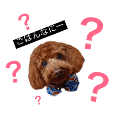 [LINEスタンプ] 中野犬