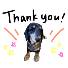 [LINEスタンプ] ジャッキースタンプ