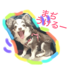 [LINEスタンプ] 居眠り犬セピ子