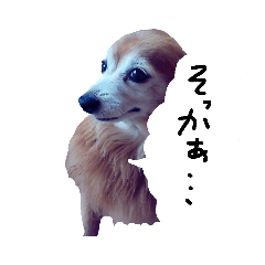 [LINEスタンプ] わんごころと秋の空