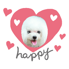 [LINEスタンプ] マルチーズきなことプードルぱんとあいす