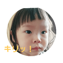 [LINEスタンプ] きりりっ！
