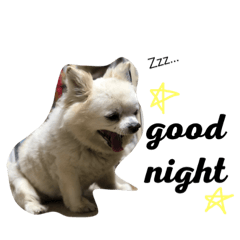 [LINEスタンプ] ♡ハルくん♡
