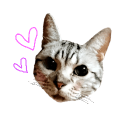 [LINEスタンプ] ひげまるくんとれおんちゃん