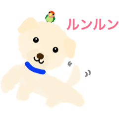 [LINEスタンプ] モコモコ犬 ぢょん