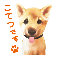 [LINEスタンプ] 「こてつ」0歳