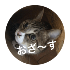 [LINEスタンプ] 西川家のペット