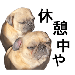 [LINEスタンプ] パグのジンモモ