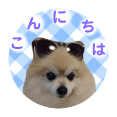 [LINEスタンプ] しょう♡なっち