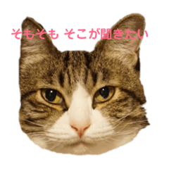 [LINEスタンプ] マイクロ fetchpriority=high