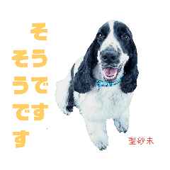 [LINEスタンプ] みんな仲良しインギーズだよ全員集合 vol.2