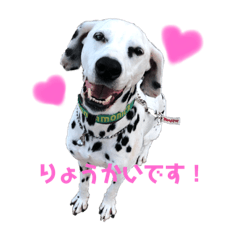 [LINEスタンプ] ダルメシアンのラッキー