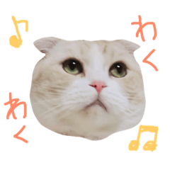 [LINEスタンプ] ティアラのスタンプ2