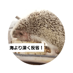 [LINEスタンプ] 針ねずみのはちべ～8