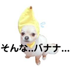 [LINEスタンプ] とまちゃん☆スタンプ