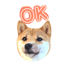 [LINEスタンプ] 豆柴きなこ（毎日使う言葉）