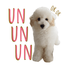 [LINEスタンプ] もあろわちったんぷ。
