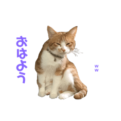 [LINEスタンプ] プーぞう