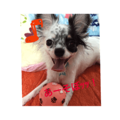 [LINEスタンプ] 愛犬ランちゃん ココロのスタンプ