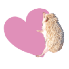 [LINEスタンプ] 毎日てくてくハリネズミのおふぐ