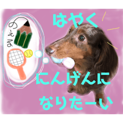 [LINEスタンプ] かわいいわんこのえる