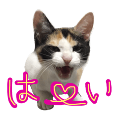 [LINEスタンプ] 華ちゃんスタンプ①