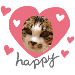 [LINEスタンプ] イチとハクの日常スタンプ 