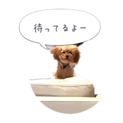 [LINEスタンプ] わんこの挨拶②