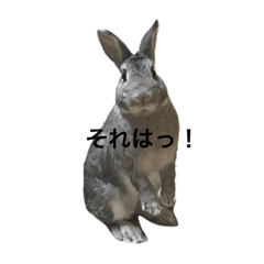 [LINEスタンプ] ラブリーもなかくんの使えるスタンプ