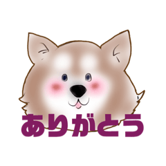 [LINEスタンプ] 「可愛い動物」スタンプ