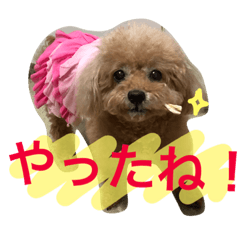 [LINEスタンプ] いおたん2