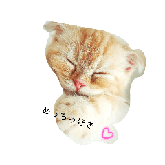 [LINEスタンプ] スコティッシュミミさん