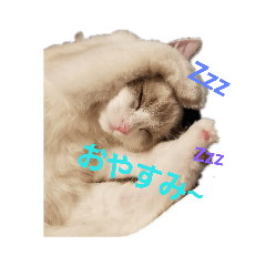 [LINEスタンプ] 六華STAMP
