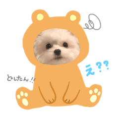 [LINEスタンプ] まかといっしょ！