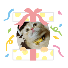 [LINEスタンプ] スコティッシュミミさん②