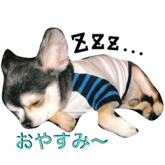 [LINEスタンプ] リキコリキ3