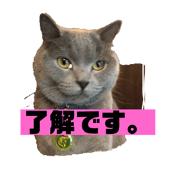 [LINEスタンプ] グリ．キチスタンプ 