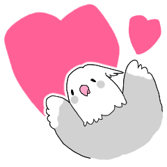 [LINEスタンプ] オカメインコのおこめです。