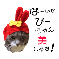 [LINEスタンプ] メインクーンの仁