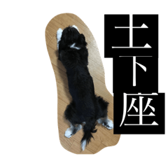 [LINEスタンプ] ぺっぺのまいにち 