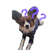[LINEスタンプ] 音と楽⑦(楽only)