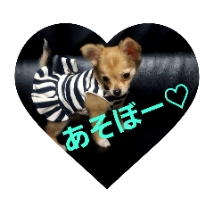[LINEスタンプ] 愛犬ぱぴ＆ぺこ①