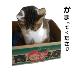 [LINEスタンプ] チラ＆ジジ①