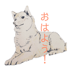 [LINEスタンプ] 動物絵シリーズ