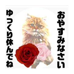 [LINEスタンプ] 気ままな猫達0と花