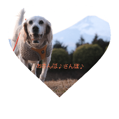 [LINEスタンプ] もなかの生活