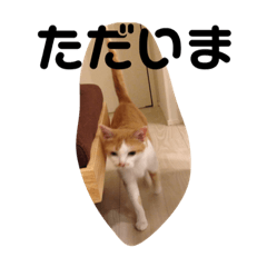 [LINEスタンプ] だんご2